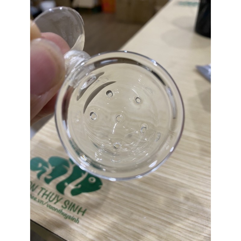 Cốc đựng giun, trùn chỉ thuỷ tinh