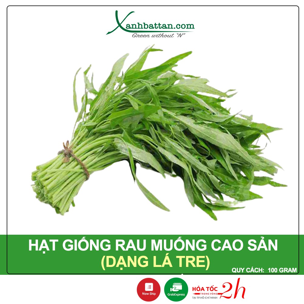 Hạt Giống Rau Muống Lá Tre Phú Nông Gói 100 Gram