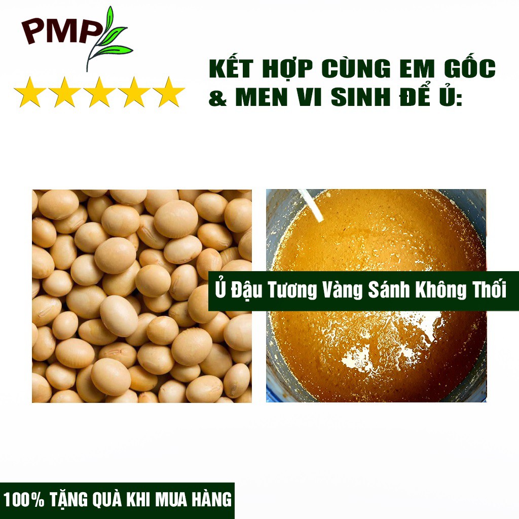 Mật Rỉ Đường MALOSA PMP Mật Nuôi Vi Sinh, Ủ Từ Đậu Nành, Trứng, Chuối, GE Dứa, GE Bồ Hòn, Rác Thải Hữu Cơ