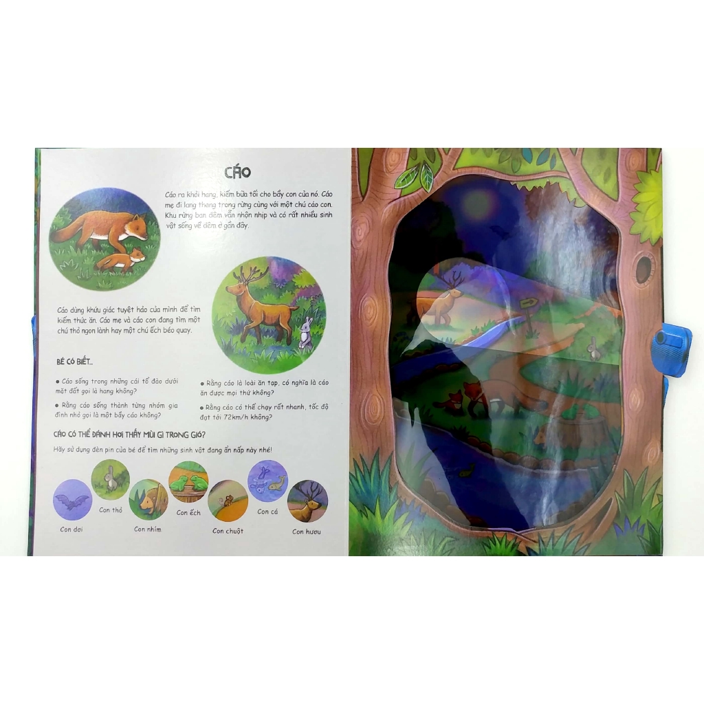 Sách - Đèn Pin Khám Phá - Moonlight Animals - Động Vật Dưới Ánh Trăng