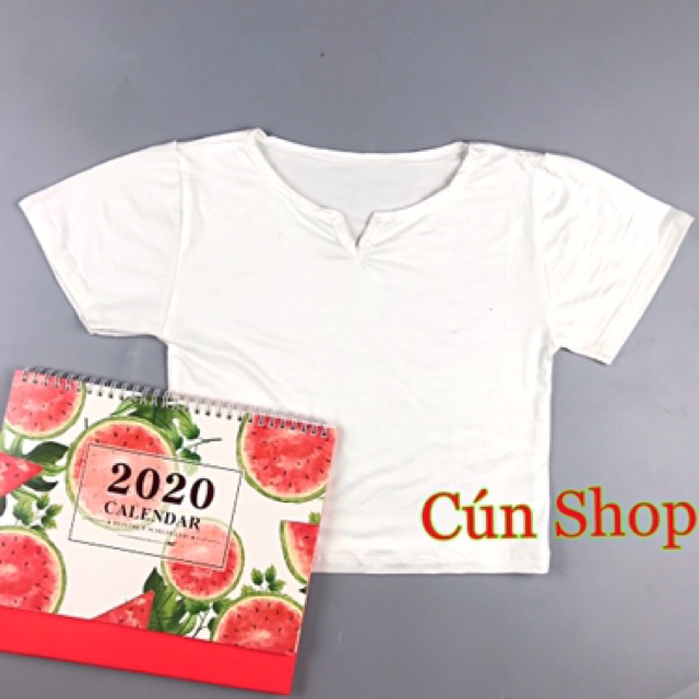 Áo croptop cổ khoét chữ V 3 màu RICH STORE CRT23