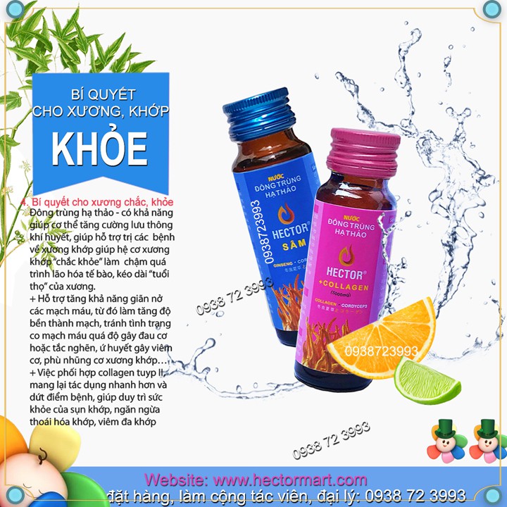 ✅ COMBO 5 hộp 50 chai [COLLAGEN Đông Trùng Hạ Thảo] HECTOR dạng nước, giúp Trắng da, trẻ hóa và tăng cường sức khỏe tốt
