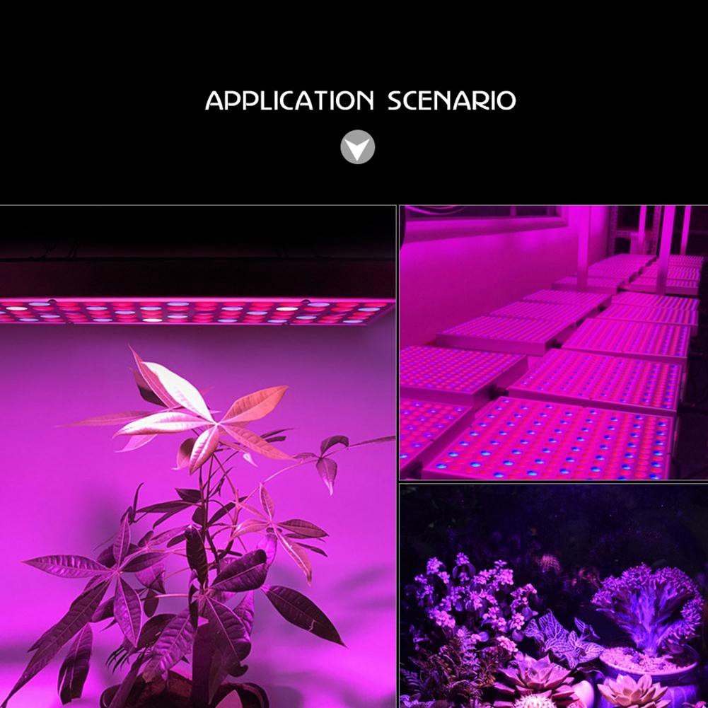 Đèn LED tăng trưởng cây trồng trong nhà 25/45W