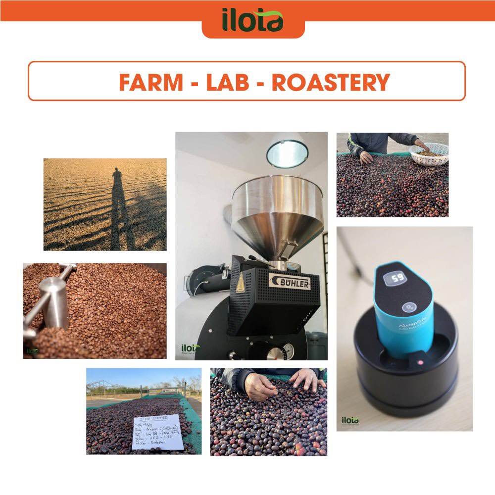Trà thảo mộc hoà tan Cool Tea Trần Quang gồm 9 loại thảo mộc quý thanh mát 24 gói