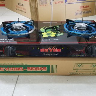 Bếp kính Biogas