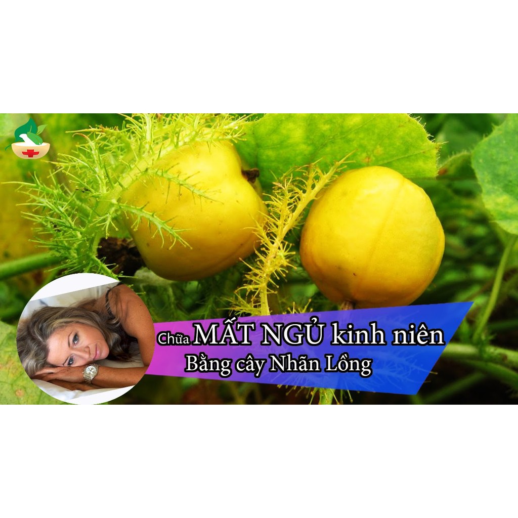 Cao lạc tiên - Đinh lăng Minh Nhi - lọ 100gr | BigBuy360 - bigbuy360.vn