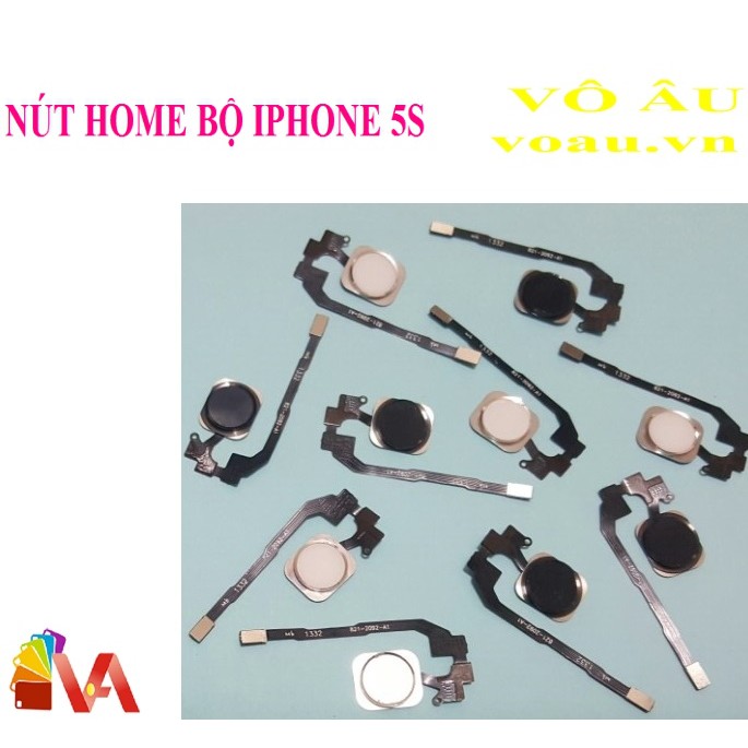 NÚT HOME BỘ IPHONE 5S