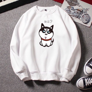 Áo sweater mèo cao cấp