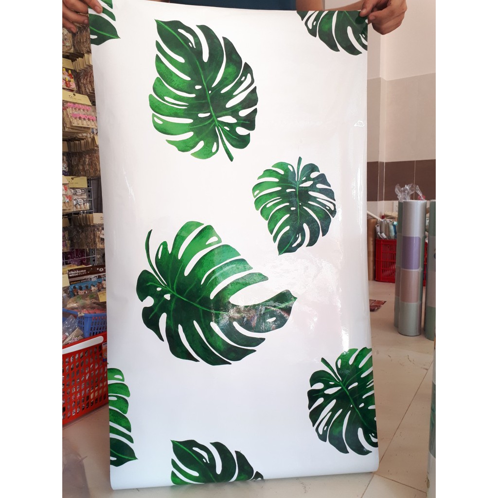 DECAL 1M dán bếp tráng nhôm cách nhiệt khổ 60CM - LÁ XANH KHỔNG LỒ OKK020