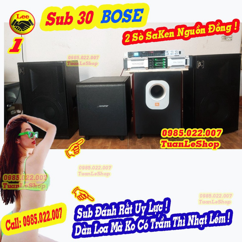 SUB ĐIỆN 30 - SUB 30 NGUYÊN THÙNG 2 SO SA KEN NGUÔN ĐỒNG  - Thùng Sup 30 B o s e