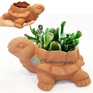 Chậu đất nung Chú Rùa vintage, chậu có lỗ, trồng bonsai, cây cảnh, sen đá, trang trí sân vườn D16xR14xC8 cm
