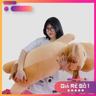 Gấu bông chó nâu siêu to siêu khổng lồ