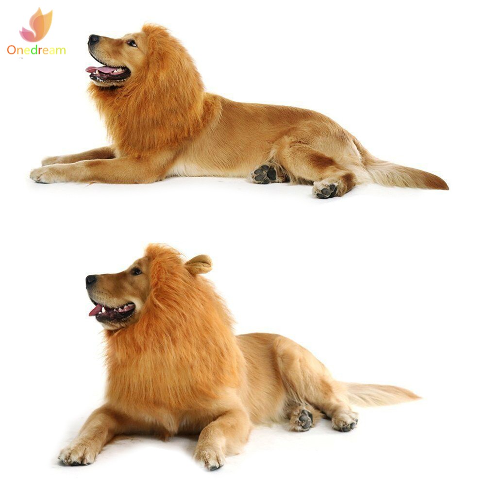 Bờm Sư Tử Giả Cho Thú Cưng