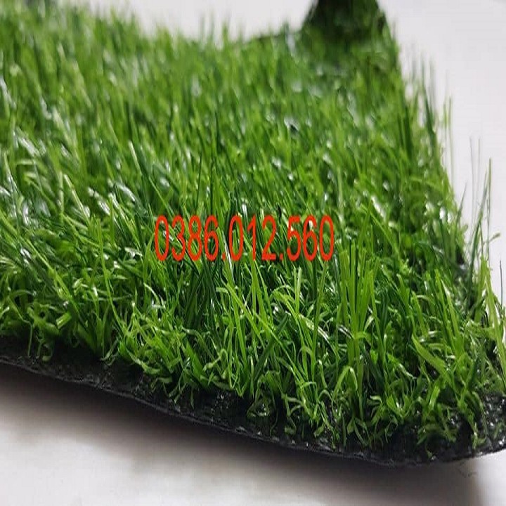Thảm cỏ nhân tạo lót sàn 2cm- combo 5m (2x2.5)m