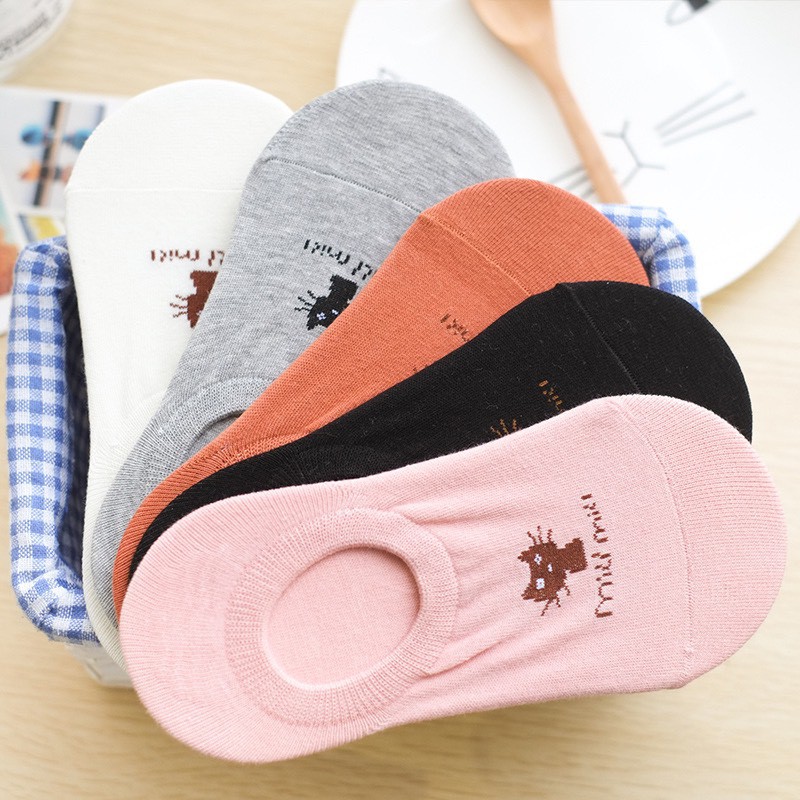 Sỉ Combo 5 Đôi Tất Hài Mèo MiuMiu