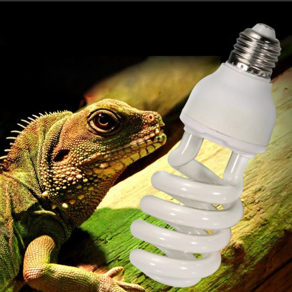 Đèn UVB 10.0 -13/26W chuyên dụng cho bò sát-Đèn uvb giúp hấp thụ canxi cho bò sát  -Phụ kiện bò sát - Rùa cảnh -shopleo
