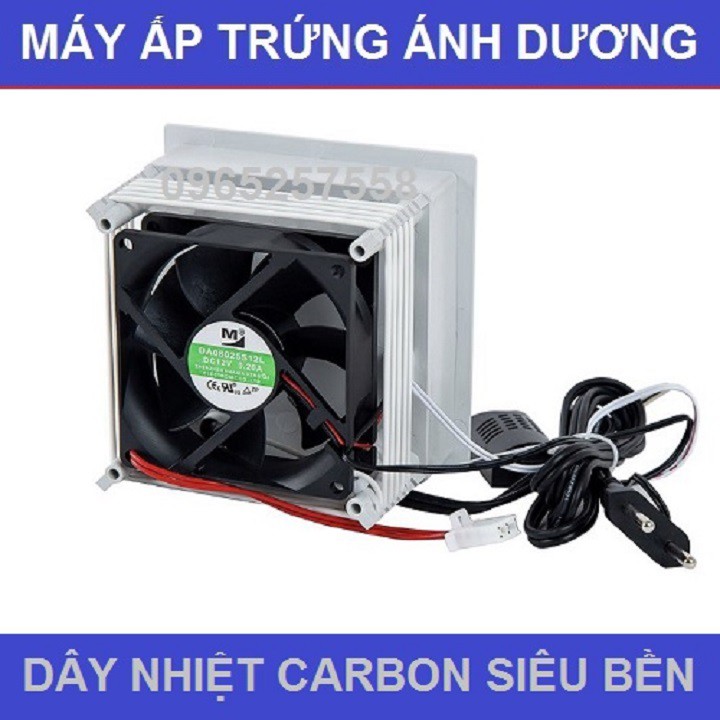 3 Món máy ấp trứng Ánh Dương P100, Khay đảo tự động 54 quả, Đèn pin soi trứng, Vitamin úm gà cao cấp