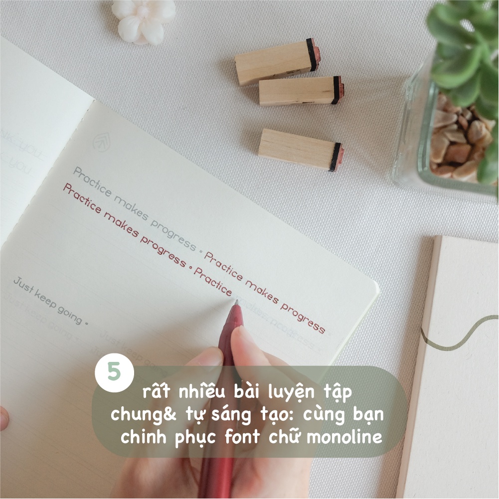 Sổ luyện chữ font không chân &quot;Monoline Handlettering Workbook&quot; ✍️dành cho người mới bắt đầu