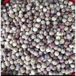 (1kg) TỎI BẮC SIÊU THƠM NGON.
