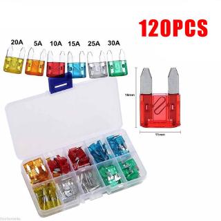 Protection SUV Blade Fuse 120PCS with Puller