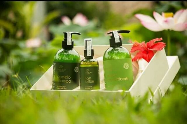 Combo Chăm Sóc Tóc Thiên Nhiên Vijully | BigBuy360 - bigbuy360.vn