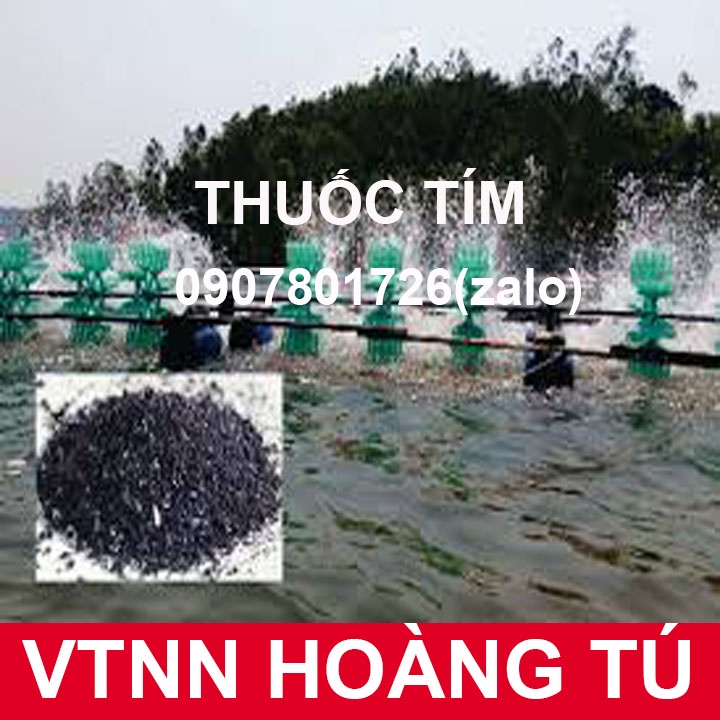 Thuốc tím KMN04 sát trùng diệt khuẩn cho hồ cá gói 100g