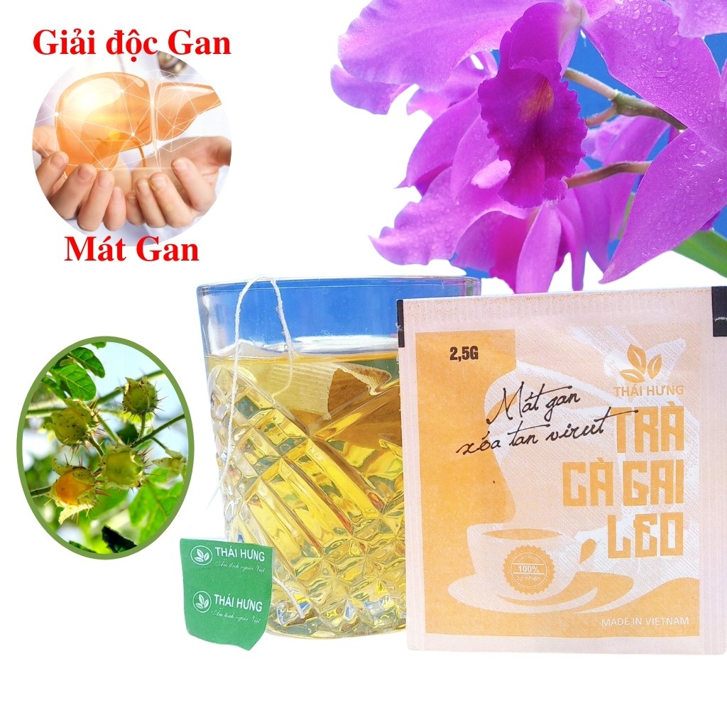 Trà Cà Gai Leo Thái Hưng Thanh Nhiệt Giải Độc Gan Đẩy Lùi Virut 1 Túi Lọc 2.5gr