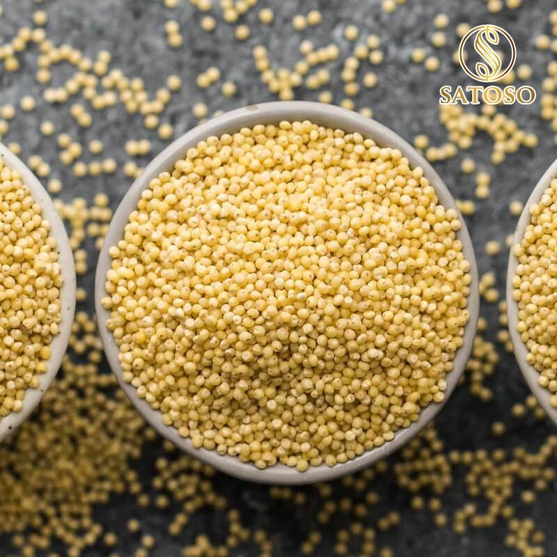 Hạt kê nếp vàng SATOSO 1kg thượng hạng giàu dưỡng chất tốt cho sức khỏe SA22