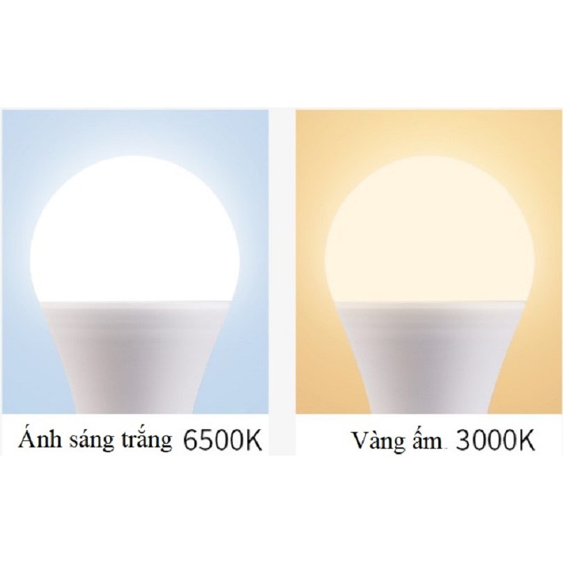 Dây đèn bóng led búp 5 mét 10 bóng 5w, đèn trang trí