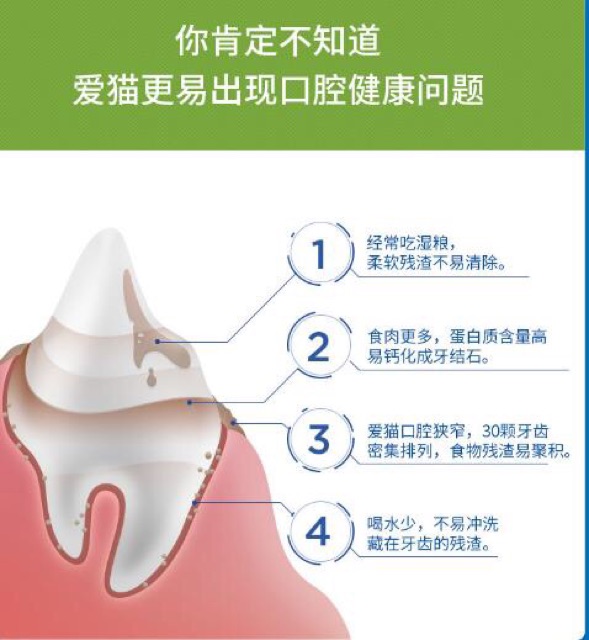 Purina Dentalife - Snack thưởng làm sạch răng cho mèo