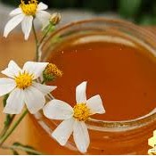 [  HÓT HÓT]  mật ong HOA RỪNG TỰ NHIÊN 70gam (phát hiện hàng giả đền gấp 10 lần ) | BigBuy360 - bigbuy360.vn