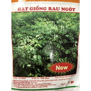 Hạt giống Rau ngót ✅