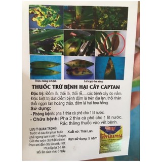 Captan Thuốc chống thối nhũn cho lan