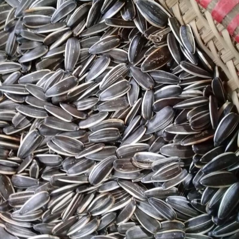 Hạt Hướng Dương Sấy Chín Loại 1 (Gói 0,5kg)