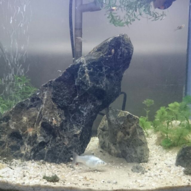 Linh kiện rẻ - MrKen shop