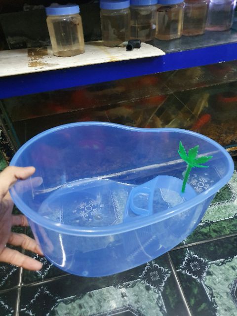 BỂ NUÔI RÙA BABA THÚ CƯNG RẤT DỄ THƯƠNG 32x23x13cm