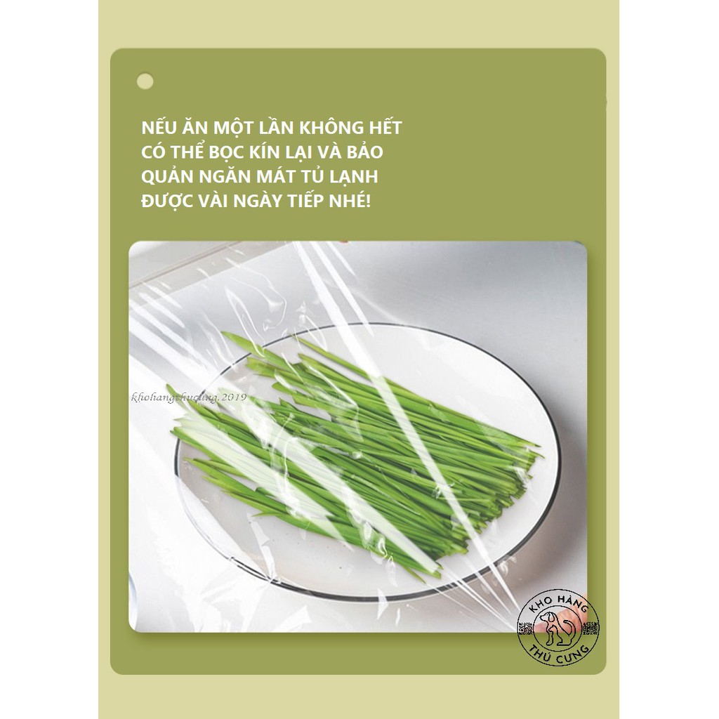 CỎ LÚA MÌ tự trồng tại nhà dễ dàng- BỔ SUNG DINH DƯỠNG chất xơ CHO MÈO