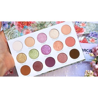 Bảng mắt Colourpop 12 - 16 ô