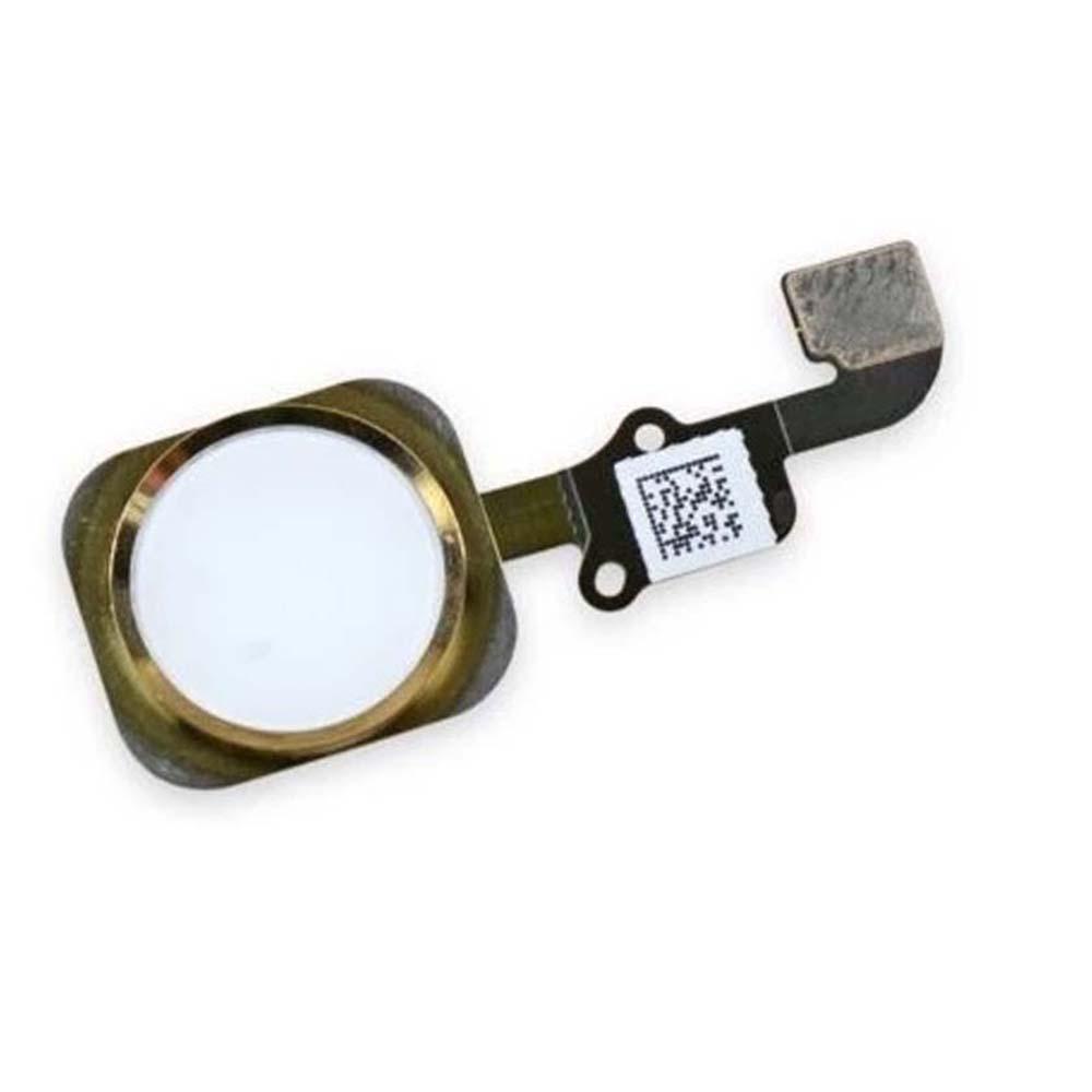 Cáp Cảm Biến ID Cảm Ứng Thay Thế Chuyên Dụng Cho AUGUSTINE