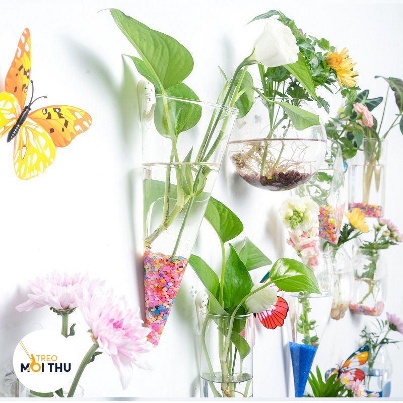 Bình Thủy Tinh Trồng Cây Thủy Sinh Treo Tường - Siêu Nhẹ - Treo Mọi Thứ