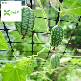 Hạt Giống Dưa Hấu Mini - 10 Hạt