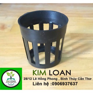 Combo 100 chậu cấy mô đường kính 4cm