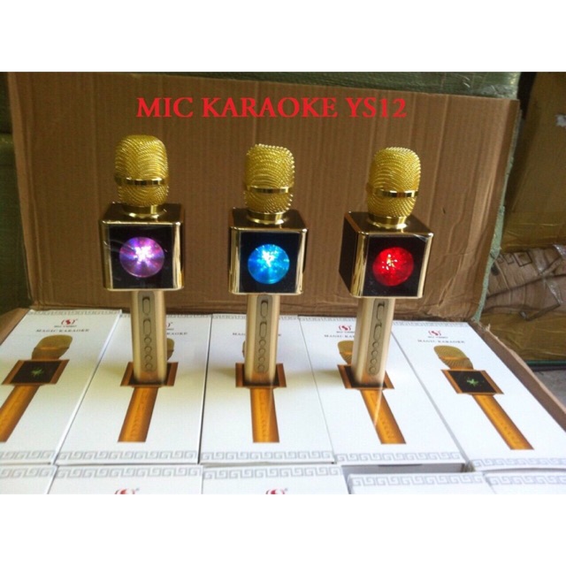 MIC KARAOKE YS-12