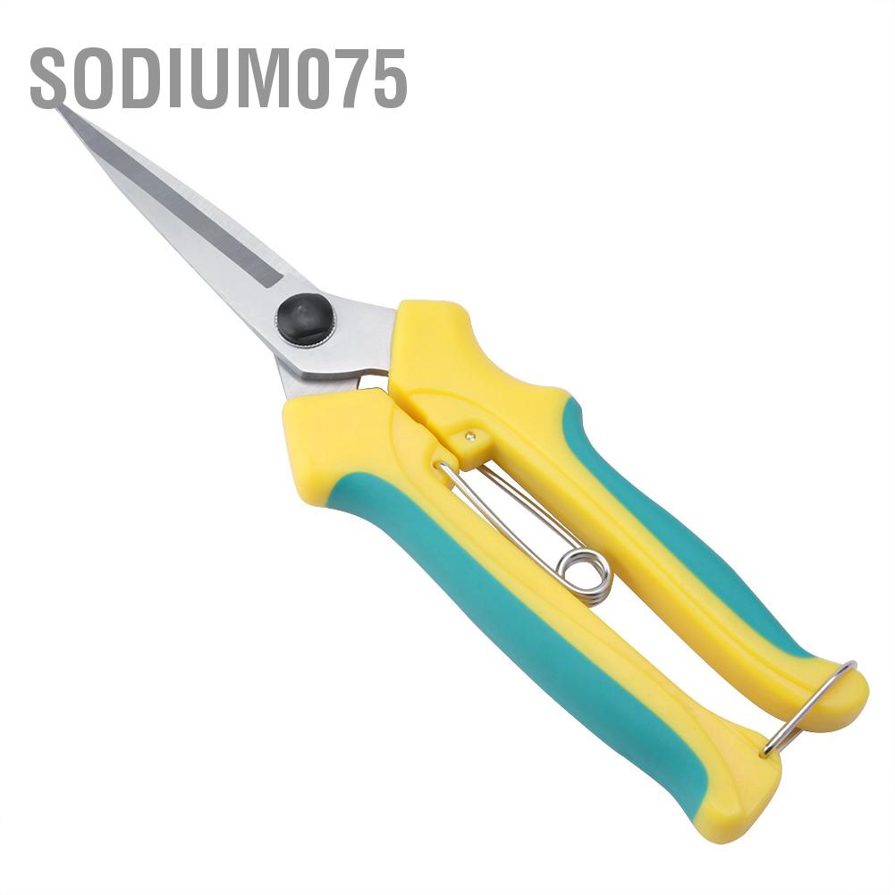 Sodium075 Đã nâng cấp Cây ăn quả cứng cáp cảnh Làm vườn Cắt tỉa Kéo dài làm