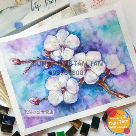 [ TÂM TÂM ]-Màu nước sonnet 24 màu, Water color sonnet set 24-