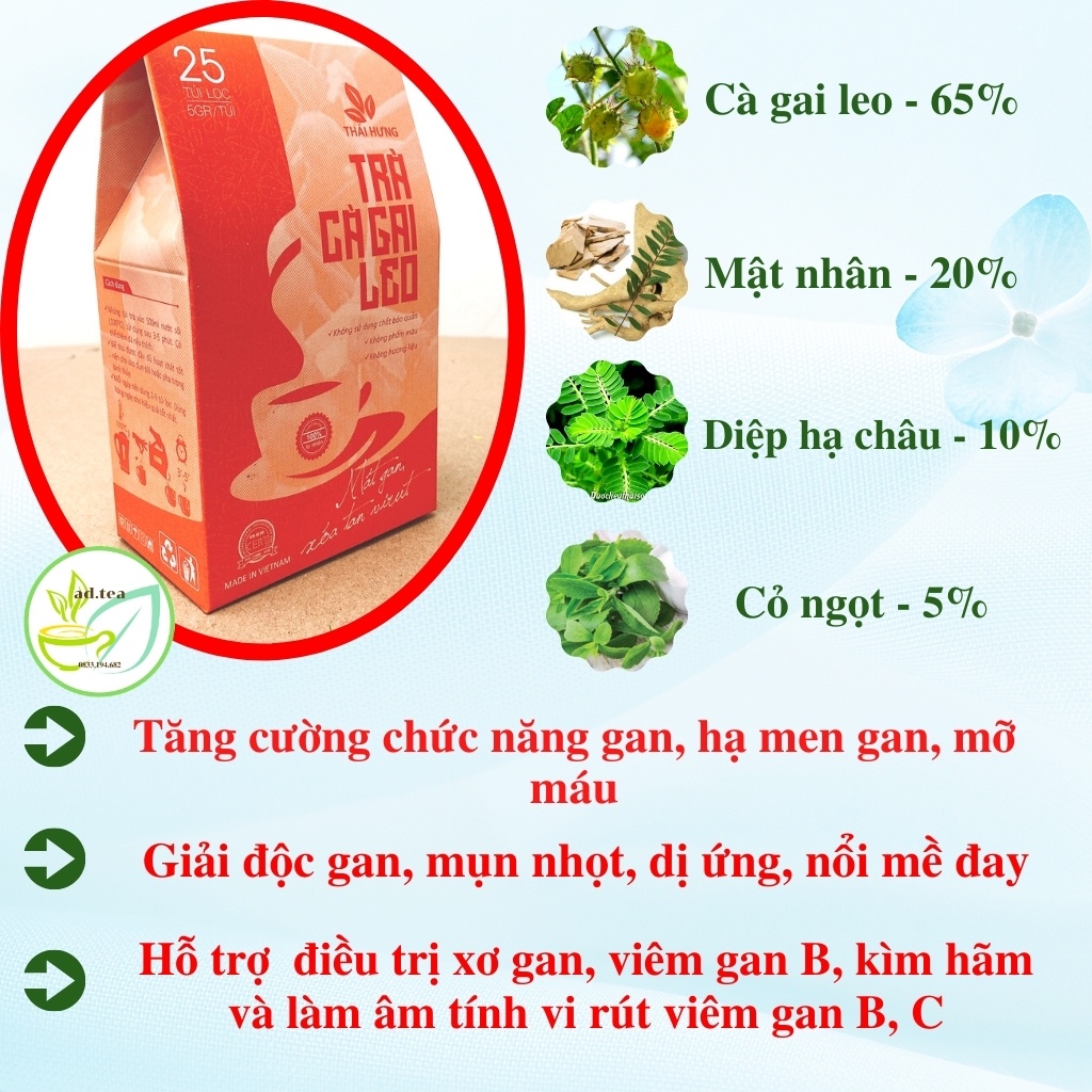 Trà túi lọc Cà gai leo Thái Hưng thải độc gan xóa tan virus - Combo 04 hộp 25 túi lọc 125g