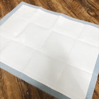 Tấm lót vệ sinh cho CHÓ MÈO