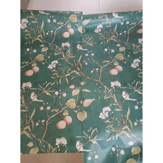 Giấy dán tường nhành cây trái.aqa