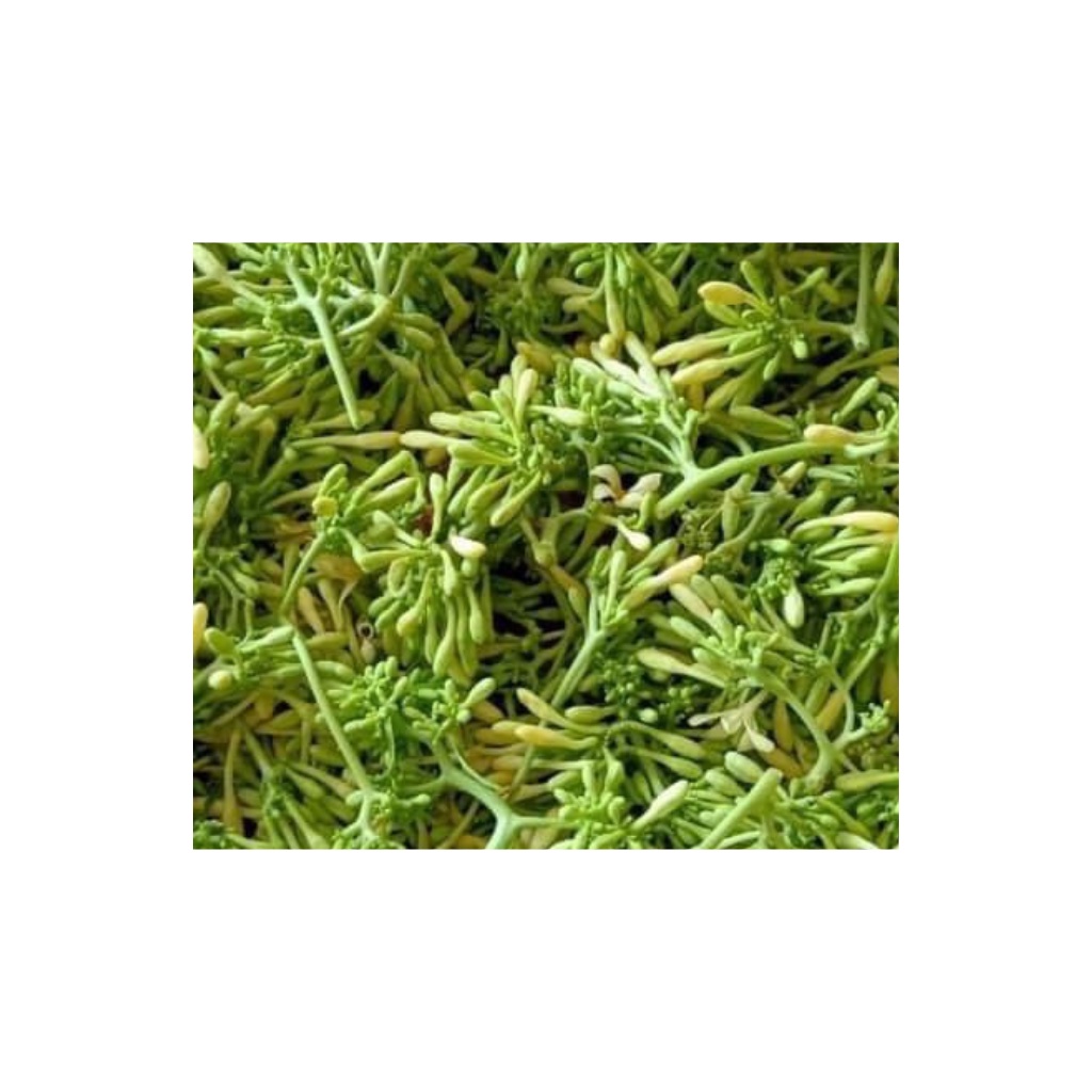 Hoa đu đủ đực khô thượng hạng tác dụng phòng ngừa và hỗ trợ điêu tri ung_t.h ư, tiểu đường túi 1Kg | BigBuy360 - bigbuy360.vn