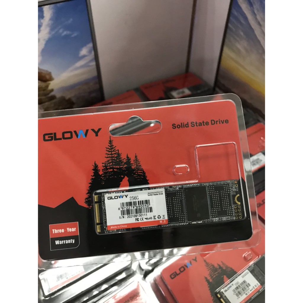 Ổ cứng SSD M2 Gloway 256GB (Sata3.0) – CHÍNH HÃNG – Bảo hành 3 năm !!! | BigBuy360 - bigbuy360.vn